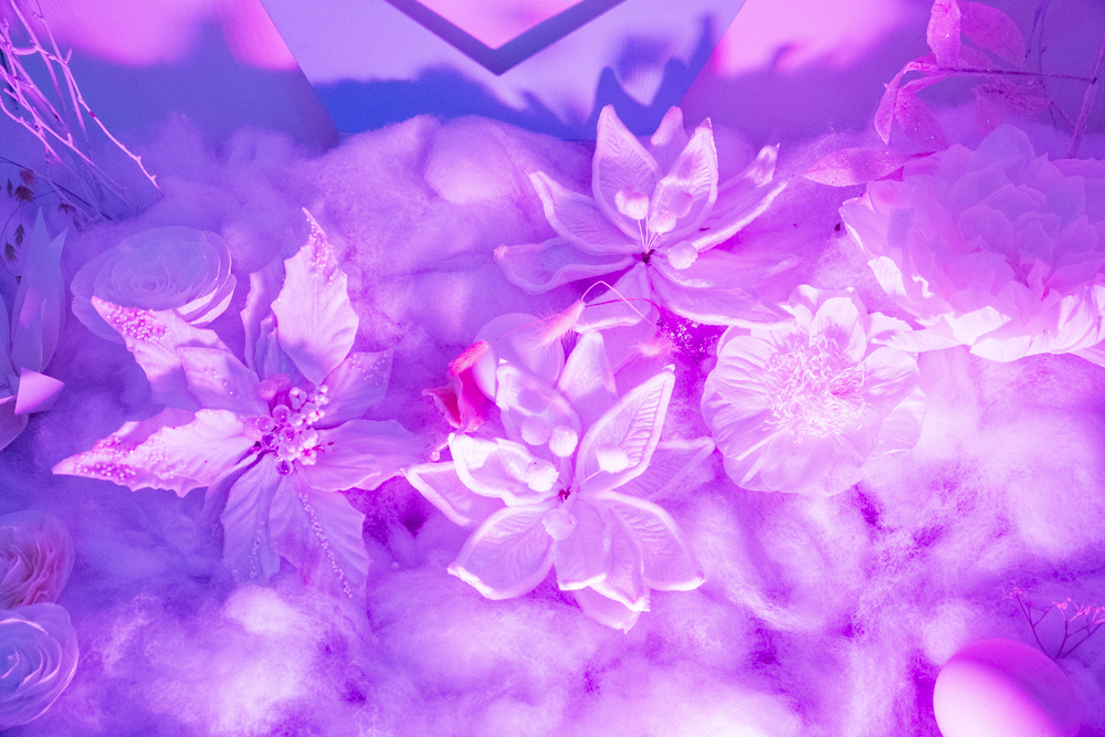 Frost – Cleveland Botanical Garden